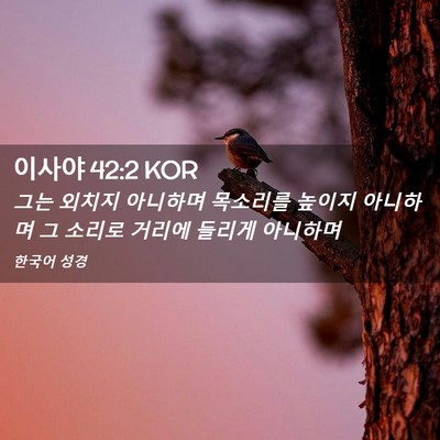 Picture 02 - 이사야 42:2 KOR - 그는 외치지 아니하며 목소리를 - Bible Verse Picture