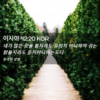 Picture 02 - 이사야 42:20 KOR - 네가 많은 것을 볼지라도 유의치 - Bible Verse Picture