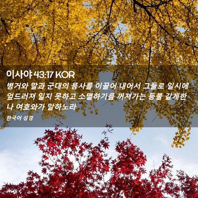 Picture 02 - 이사야 43:17 KOR - 병거와 말과 군대의 용사를 이끌어 - Bible Verse Picture
