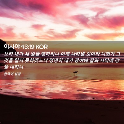 Picture 02 - 이사야 43:19 KOR - 보라 내가 새 일을 행하리니 이제 - Bible Verse Picture
