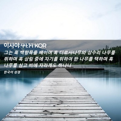 Picture 02 - 이사야 44:14 KOR - 그는 혹 백향목을 베이며 혹 - Bible Verse Picture