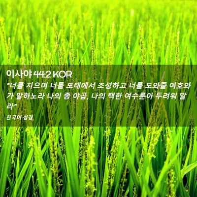 Picture 02 - 이사야 44:2 KOR - 