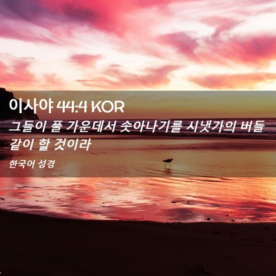 Picture 02 - 이사야 44:4 KOR - 그들이 풀 가운데서 솟아나기를 - Bible Verse Picture