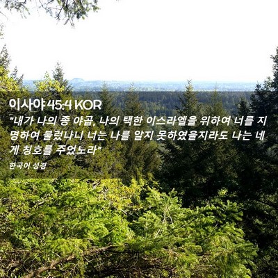 Picture 02 - 이사야 45:4 KOR - 