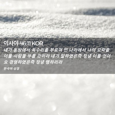 Picture 02 - 이사야 46:11 KOR - 내가 동방에서 독수리를 부르며 먼 - Bible Verse Picture