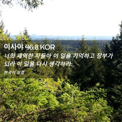 Picture 02 - 이사야 46:8 KOR - 너희 패역한 자들아 이 일을 - Bible Verse Picture