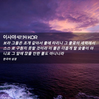 Picture 02 - 이사야 47:14 KOR - 보라 그들은 초개 같아서 불에 - Bible Verse Picture
