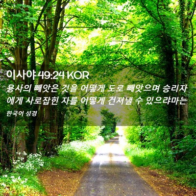 Picture 02 - 이사야 49:24 KOR - 용사의 빼앗은 것을 어떻게 도로 - Bible Verse Picture