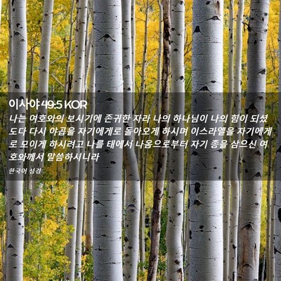 Picture 02 - 이사야 49:5 KOR - 나는 여호와의 보시기에 존귀한 자라 - Bible Verse Picture
