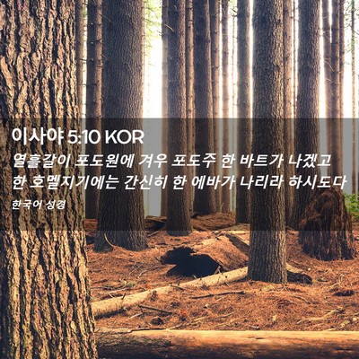 Picture 02 - 이사야 5:10 KOR - 열흘갈이 포도원에 겨우 포도주 한 - Bible Verse Picture