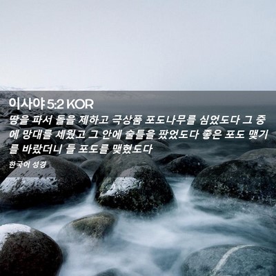 Picture 02 - 이사야 5:2 KOR - 땅을 파서 돌을 제하고 극상품 - Bible Verse Picture