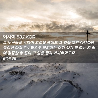 Picture 02 - 이사야 53:7 KOR - 그가 곤욕을 당하여 괴로울 때에도 - Bible Verse Picture