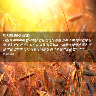 Picture 02 - 이사야 55:2 KOR - 너희가 어찌하여 양식아닌 것을 - Bible Verse Picture