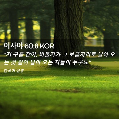 Picture 02 - 이사야 60:8 KOR - 