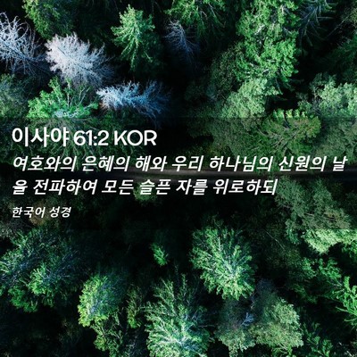 Picture 02 - 이사야 61:2 KOR - 여호와의 은혜의 해와 우리 하나님의 - Bible Verse Picture