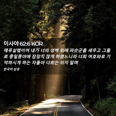 Picture 02 - 이사야 62:6 KOR - 예루살렘이여 내가 너의 성벽 위에 - Bible Verse Picture