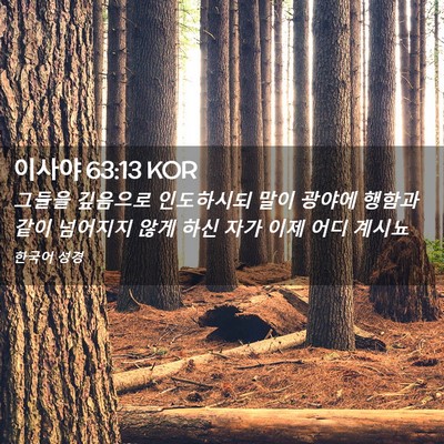 Picture 02 - 이사야 63:13 KOR - 그들을 깊음으로 인도하시되 말이 - Bible Verse Picture