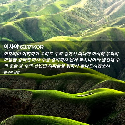 Picture 02 - 이사야 63:17 KOR - 여호와여 어찌하여 우리로 주의 - Bible Verse Picture