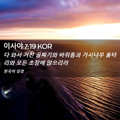 Picture 02 - 이사야 7:19 KOR - 다 와서 거친 골짜기와 바위틈과 - Bible Verse Picture