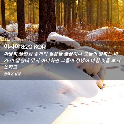 Picture 02 - 이사야 8:20 KOR - 마땅히 율법과 증거의 말씀을 - Bible Verse Picture