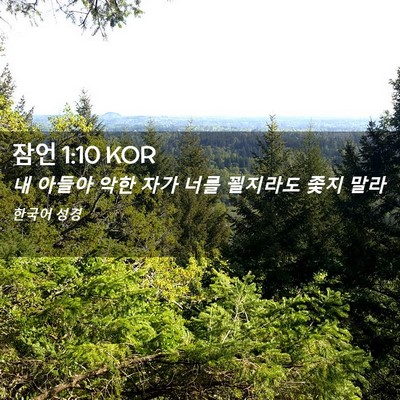 Picture 02 - 잠언 1:10 KOR - 내 아들아 악한 자가 너를 꾈지라도 - Bible Verse Picture