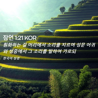 Picture 02 - 잠언 1:21 KOR - 훤화하는 길 머리에서 소리를 지르며 - Bible Verse Picture