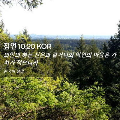 Picture 02 - 잠언 10:20 KOR - 의인의 혀는 천은과 같거니와 악인의 - Bible Verse Picture