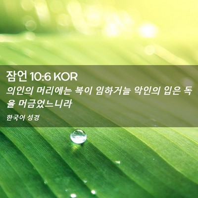 Picture 02 - 잠언 10:6 KOR - 의인의 머리에는 복이 임하거늘 - Bible Verse Picture