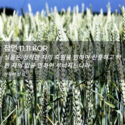 Picture 02 - 잠언 11:11 KOR - 성읍은 정직한 자의 축원을 인하여 - Bible Verse Picture