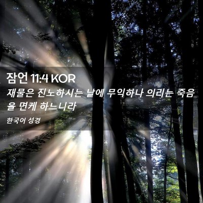 Picture 02 - 잠언 11:4 KOR - 재물은 진노하시는 날에 무익하나 - Bible Verse Picture