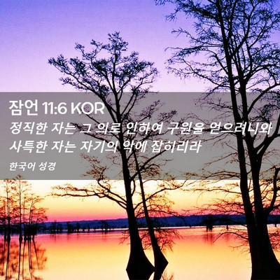 Picture 02 - 잠언 11:6 KOR - 정직한 자는 그 의로 인하여 구원을 - Bible Verse Picture