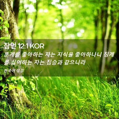Picture 02 - 잠언 12:1 KOR - 훈계를 좋아하는 자는 지식을 - Bible Verse Picture