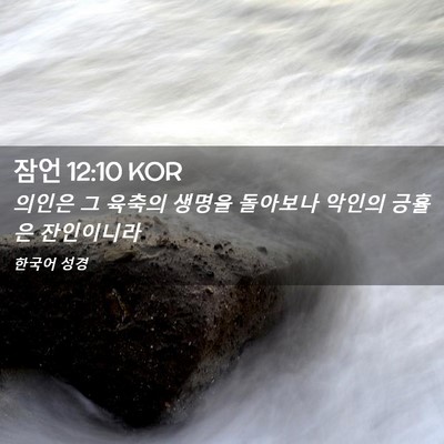 Picture 02 - 잠언 12:10 KOR - 의인은 그 육축의 생명을 돌아보나 - Bible Verse Picture