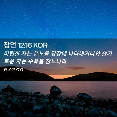 Picture 02 - 잠언 12:16 KOR - 미련한 자는 분노를 당장에 - Bible Verse Picture