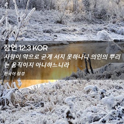 Picture 02 - 잠언 12:3 KOR - 사람이 악으로 굳게 서지 못하나니 - Bible Verse Picture