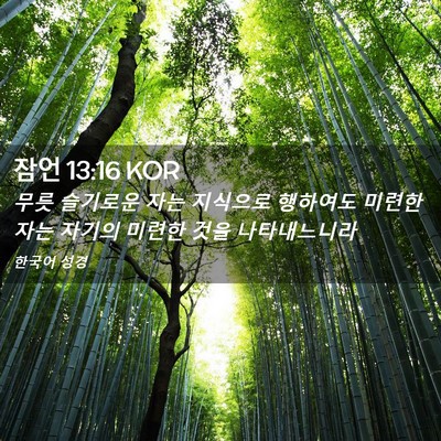 Picture 02 - 잠언 13:16 KOR - 무릇 슬기로운 자는 지식으로 - Bible Verse Picture