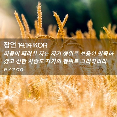 Picture 02 - 잠언 14:14 KOR - 마음이 패려한 자는 자기 행위로 - Bible Verse Picture