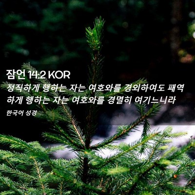 Picture 02 - 잠언 14:2 KOR - 정직하게 행하는 자는 여호와를 - Bible Verse Picture