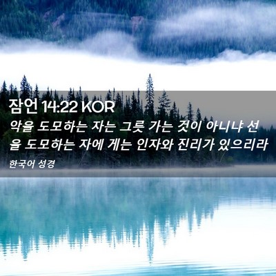 Picture 02 - 잠언 14:22 KOR - 악을 도모하는 자는 그릇 가는 것이 - Bible Verse Picture