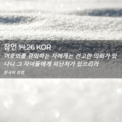 Picture 02 - 잠언 14:26 KOR - 여호와를 경외하는 자에게는 견고한 - Bible Verse Picture