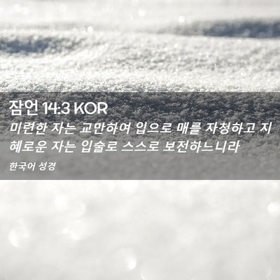 Picture 02 - 잠언 14:3 KOR - 미련한 자는 교만하여 입으로 매를 - Bible Verse Picture