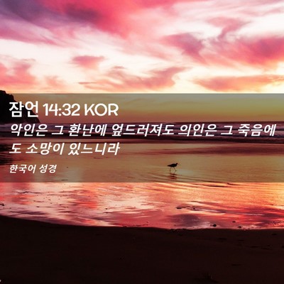 Picture 02 - 잠언 14:32 KOR - 악인은 그 환난에 엎드러져도 의인은 - Bible Verse Picture