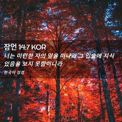 Picture 02 - 잠언 14:7 KOR - 너는 미련한 자의 앞을 떠나라 그 - Bible Verse Picture
