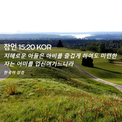 Picture 02 - 잠언 15:20 KOR - 지혜로운 아들은 아비를 즐겁게 - Bible Verse Picture