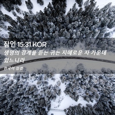 Picture 02 - 잠언 15:31 KOR - 생명의 경계를 듣는 귀는 지혜로운 - Bible Verse Picture