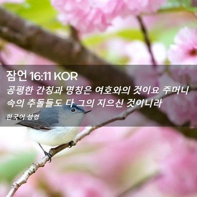 Picture 02 - 잠언 16:11 KOR - 공평한 간칭과 명칭은 여호와의 - Bible Verse Picture