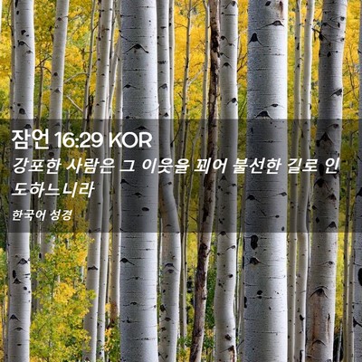 Picture 02 - 잠언 16:29 KOR - 강포한 사람은 그 이웃을 꾀어 - Bible Verse Picture