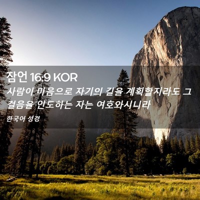 Picture 02 - 잠언 16:9 KOR - 사람이 마음으로 자기의 길을 - Bible Verse Picture