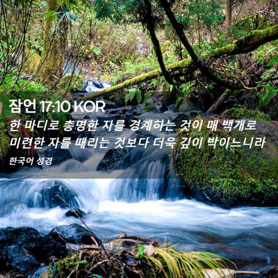 Picture 02 - 잠언 17:10 KOR - 한 마디로 총명한 자를 경계하는 - Bible Verse Picture