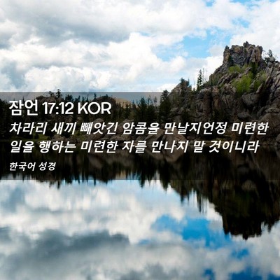Picture 02 - 잠언 17:12 KOR - 차라리 새끼 빼앗긴 암콤을 - Bible Verse Picture